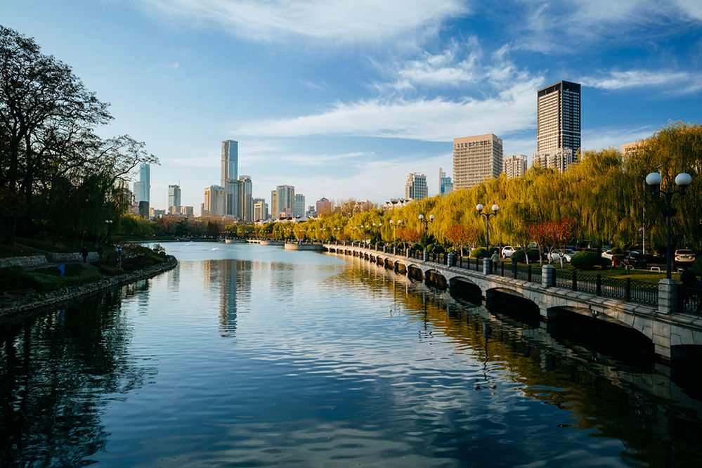 Caption: A photo of a river and promenade lined with trees in Dalian, China. There are skyscrapers and buildings in the distance. (Local Guide Roo M.)