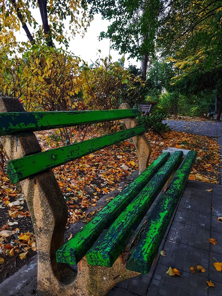 Green stool in the park, Sofia, Bulgaria