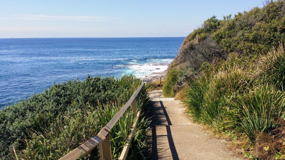 Caption: A photo of Sydney’s Bondi to Coogee Walk, showing part of the walk’s cement pathway and wooden railing, which carves through greenery along the coastline. (Local Guide Brian Drinkwater)