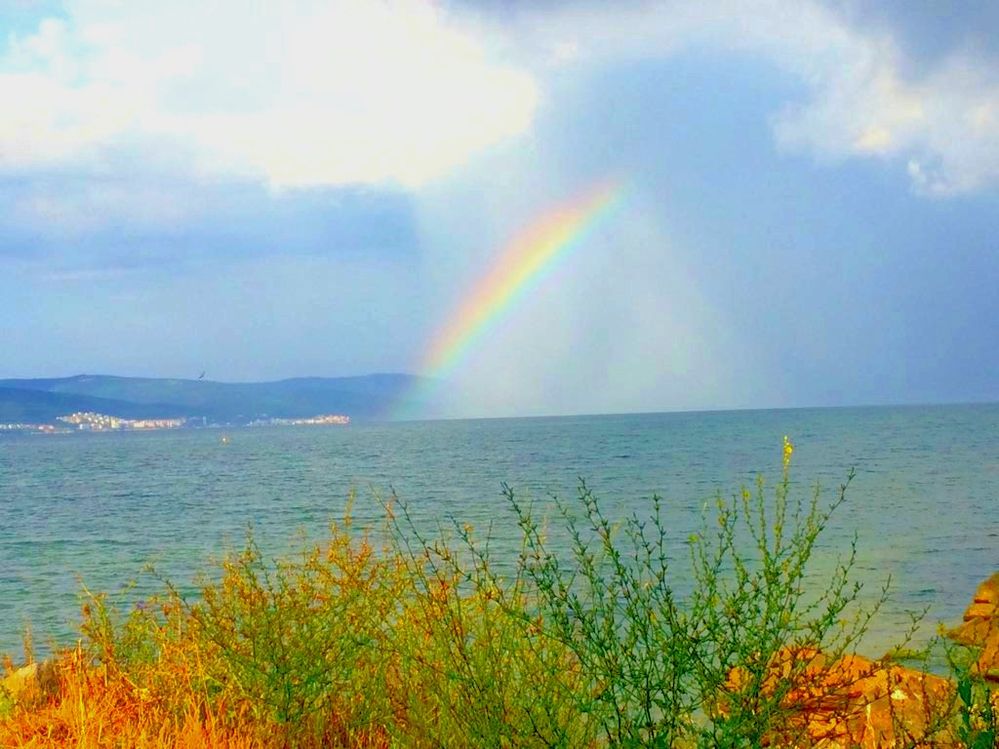 Rainbow by the Ocean