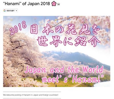 Hanami of Japan.jpg
