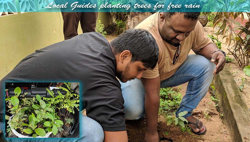 Meshanth and Dilib planting trees