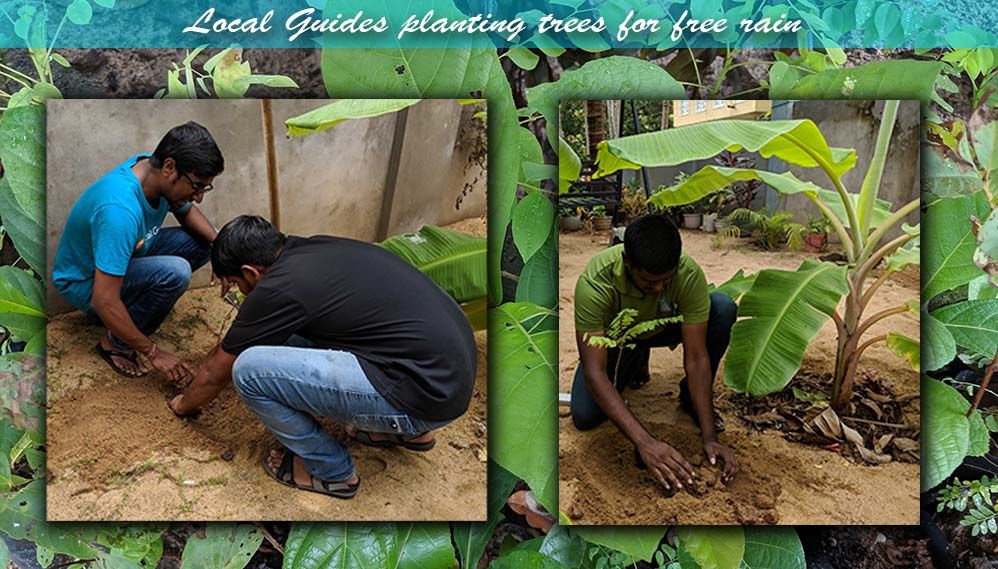 Meshanth, Sangeeth and Ilankovan planting trees