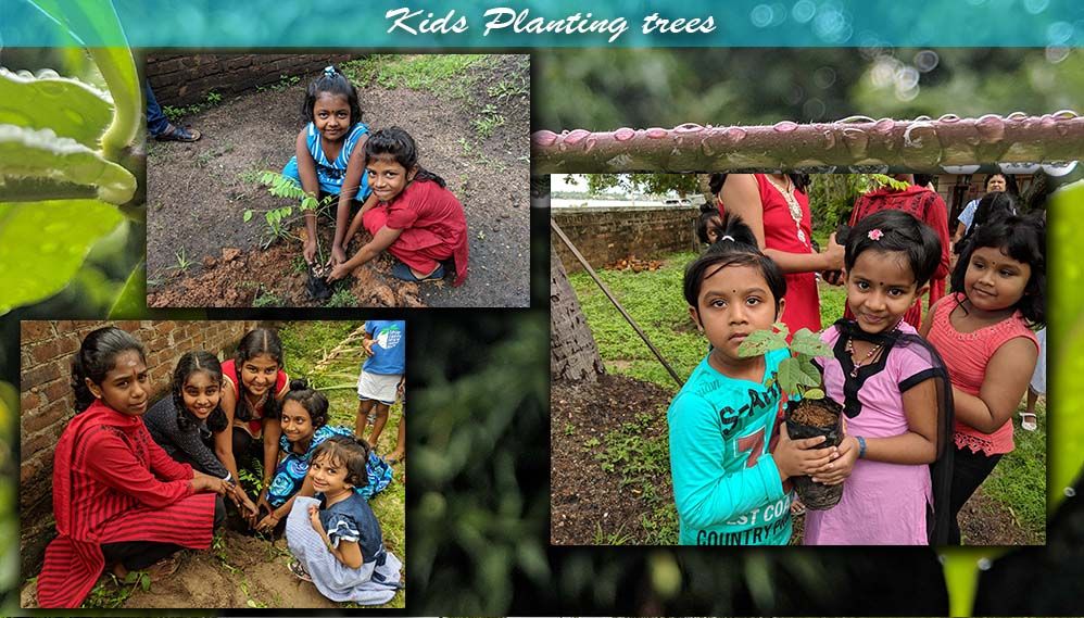 Planted some trees with the support of kids
