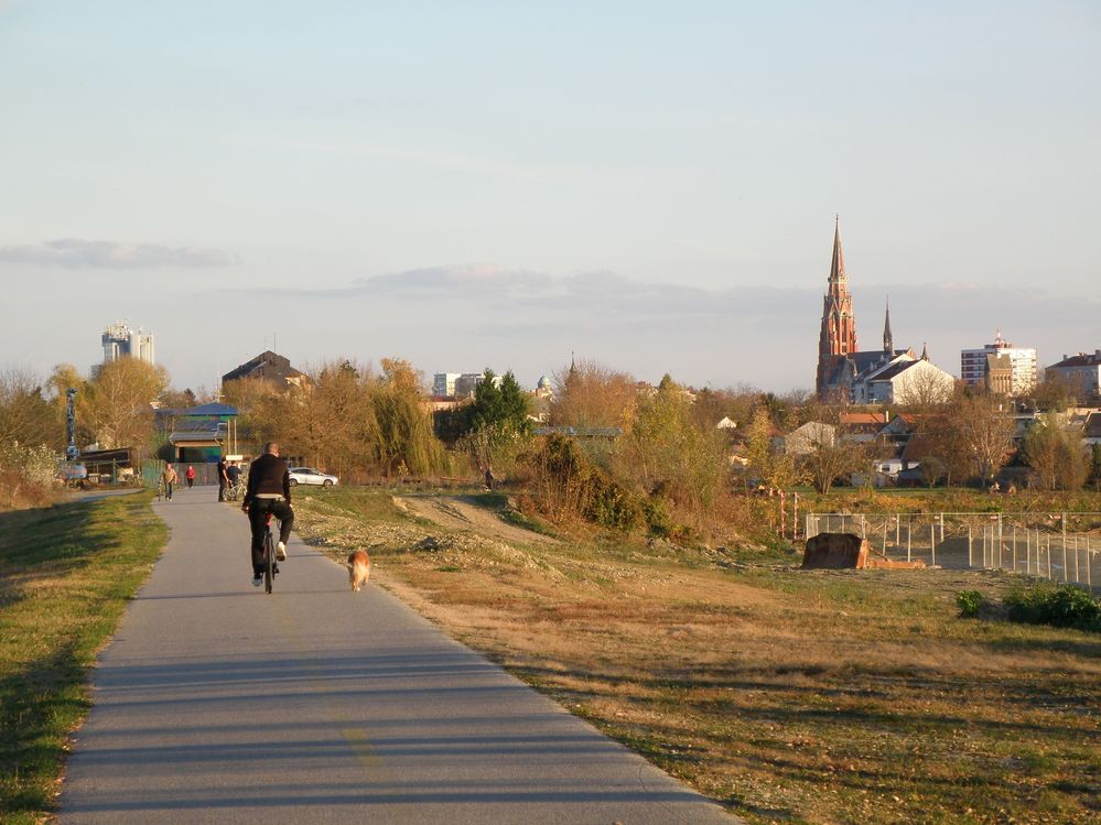 The path with the co-cathedral in the back