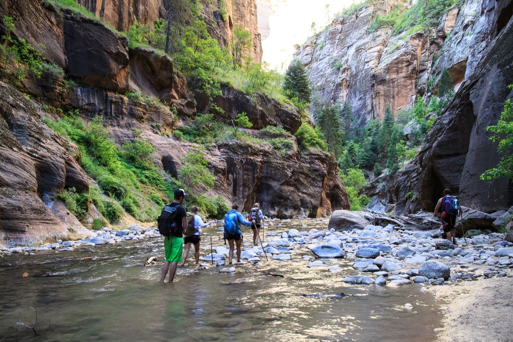 Caption: A photo of hikers walking through shallow water and small rocks between the two large rock walls that make up The Narrows, a hiking trail in a canyon at Zion National Park in Utah. (Local Guide travis higley)