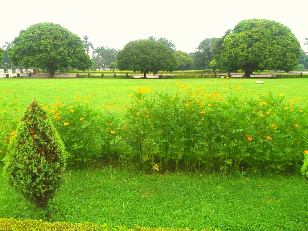 Green Field (Victoria Memorial, Kolkata)
