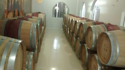 Barris para armazenamento do vinho