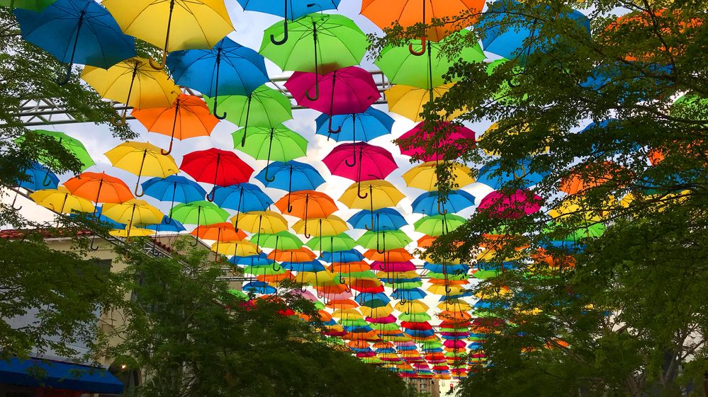 Umbrella-Sky-Banner.jpg