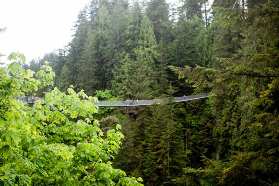 Capilano Suspension Bridge in Vancouver, Canada