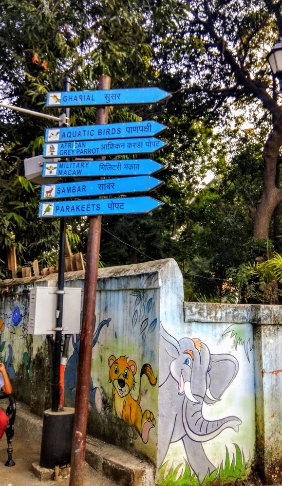 (Zoo) Wall of JijaMata Udhyan Inside ( Ranicha Baag) at Byculla Mumbai, India.