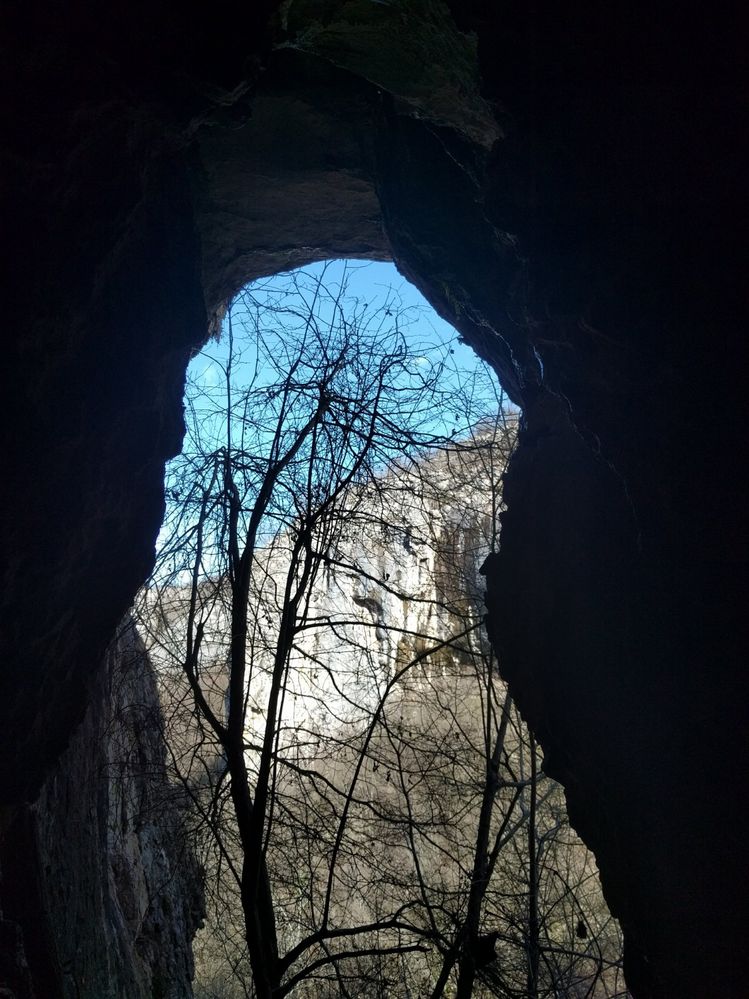 Caption: A photo from the inside of the cave, showing a tall tree without leaves, and a cliff in the background (Local Guide @MoniDi)