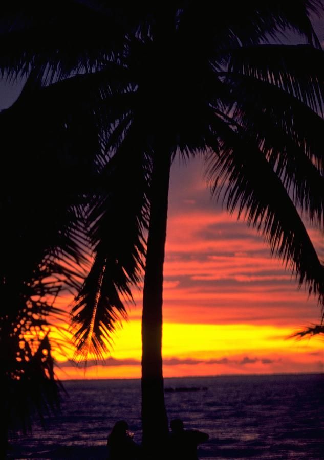 Champage Sunset in Darwin