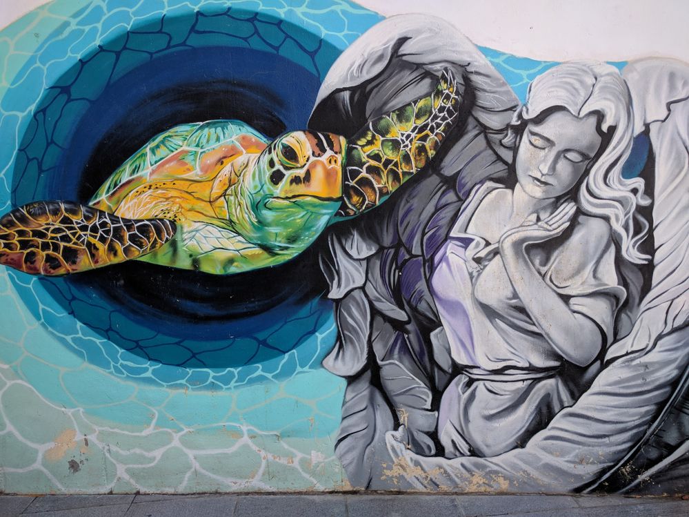 Caption: A photo of street art showing a colourful turtle and a black and white woman (Local Guide @MoniDi)