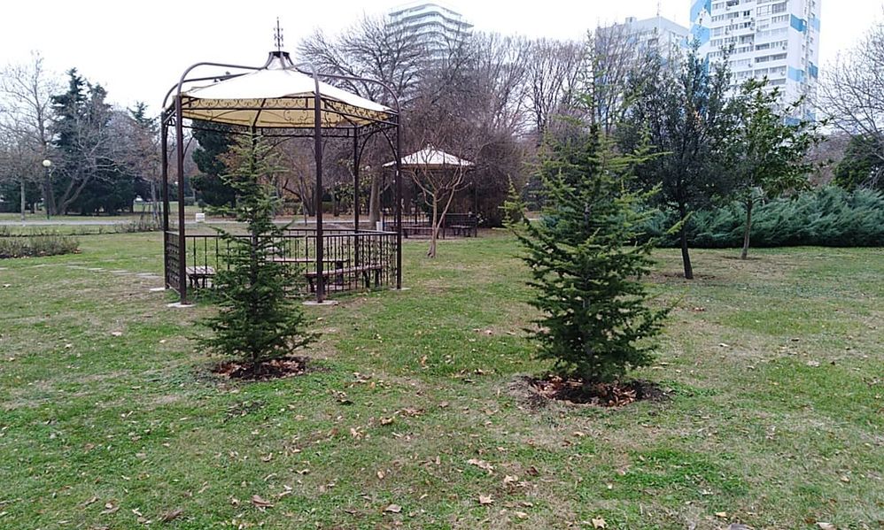 Caption: A picture of Gazebos in the garden
