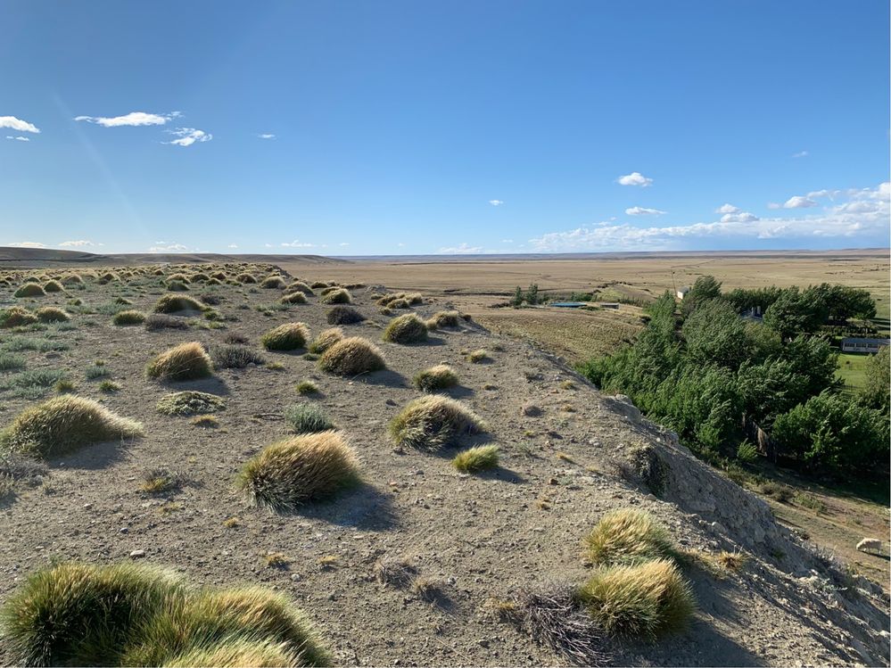 El suelo,patagonia o es muy desertico