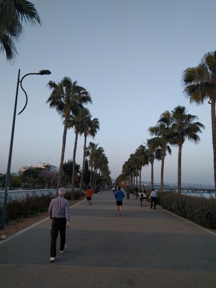 Caption: A photo of the promenade, showing some palm trees on both sides and people who are having a walk, Limassol, Cyprus (Local Guide @MoniDi)