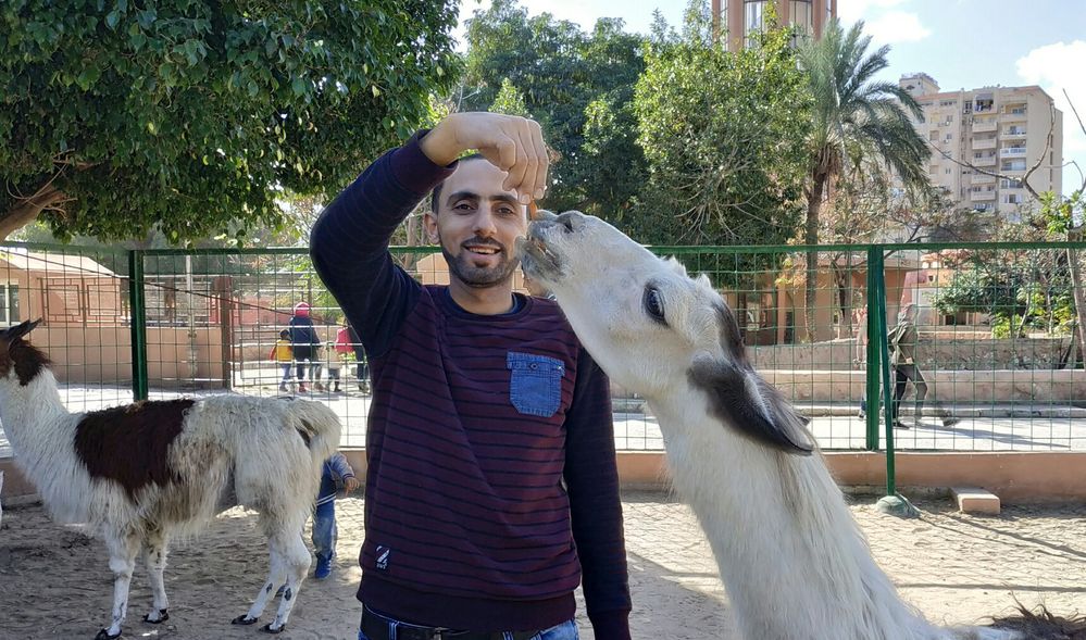 يوم مع الاسره في حديقة الحيوان بالإسكندرية