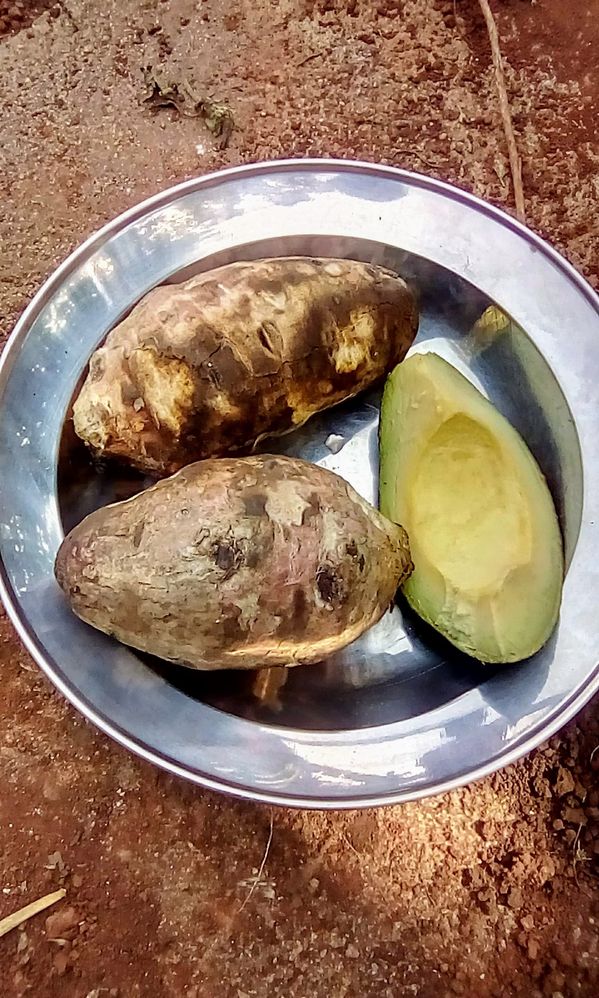 Cocoyam with avocado