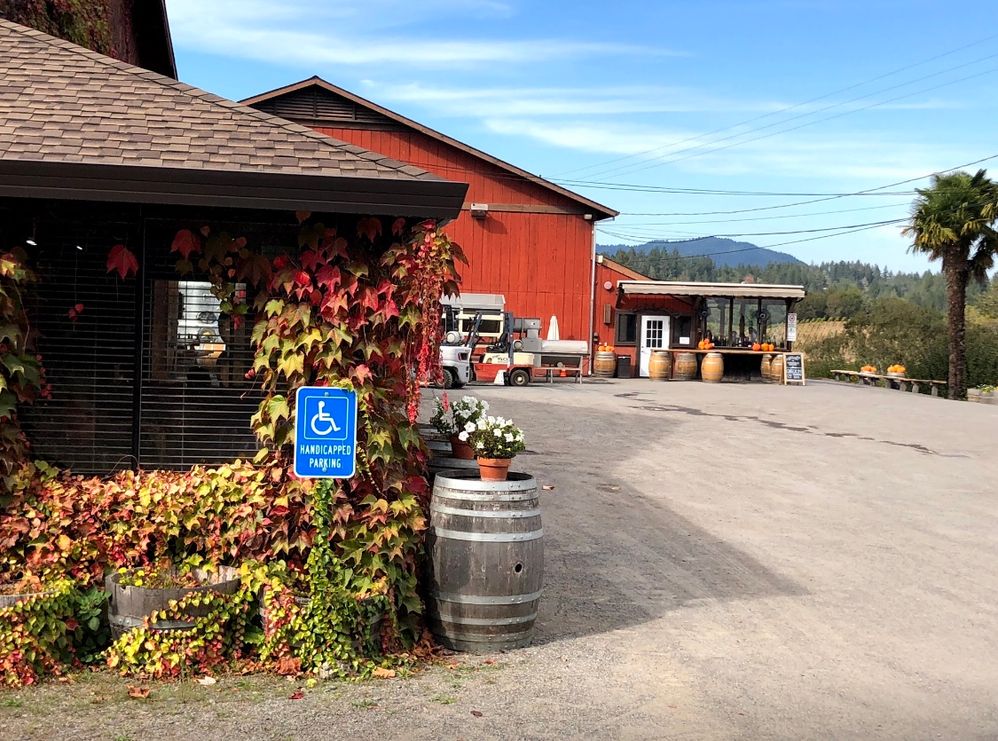 One of two designated Handicapped Parking areas at Iron Horse Vineyards