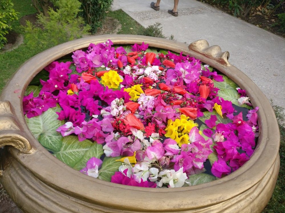 Caption: A photo of a huge outdoor pot filled with pink, purple, yellow, white, and red flowers taken at The Riverview Retreat in Mailani Range, Uttarakhand, India. (Local Guide Brinda Bhargava)