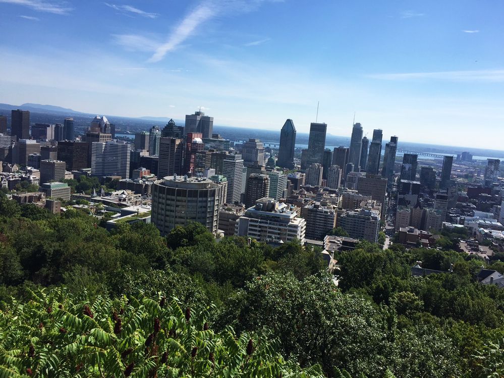 Caption: A photo of the skyline of Montreal with skyscrapers and buildings, photographed at a tilted angle. (Wendy George)