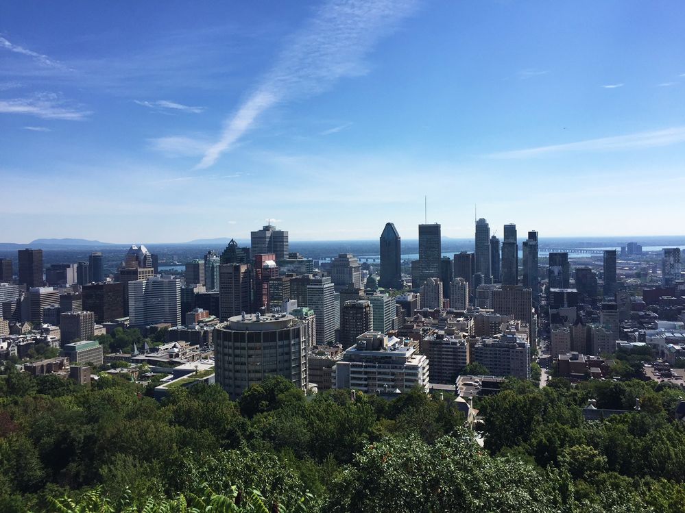 Caption: A photo of the skyline of Montreal with skyscrapers and buildings. (Wendy George)