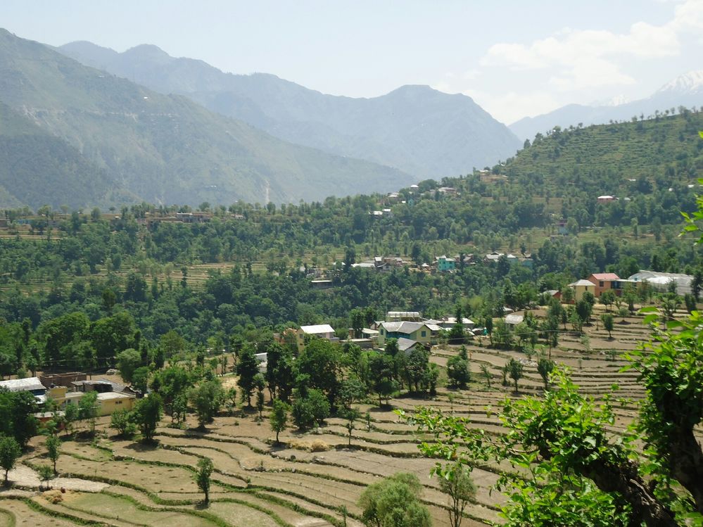Crops in Himachal Pradesh