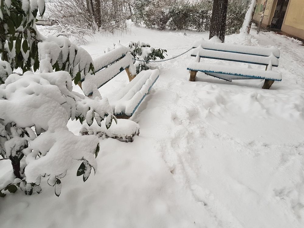 Caption : Benches covered with snow (Local Guide @InaS)