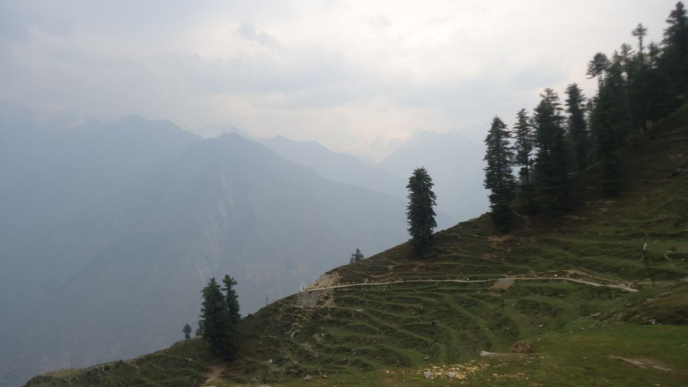 Picture showing beautiful trees on the mountains and cropping system of Jammu