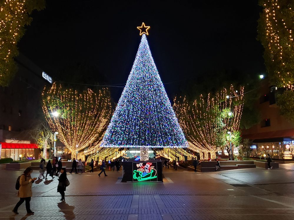 Caption: A photo of a Christmas tree lit up in Parthenon Avenue in Tokyo, Japan. (Local Guide Makoto Yoshino)