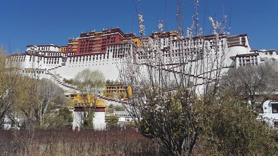 Caption: A photo of the Potala Palace during spring time. (Local Guide @TsekoV)