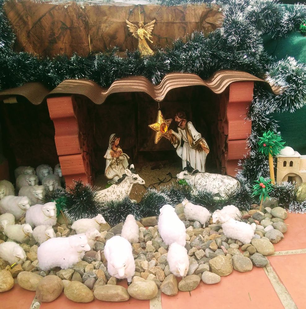 Pesebre con las ovejas, el Ángel Gabriel, la Estrella de Belén, la virgen María, San José su esposo, la burra y el buey . El niño Jesús se coloca en su cuna el 25 de diciembre, día de su nacimiento.
