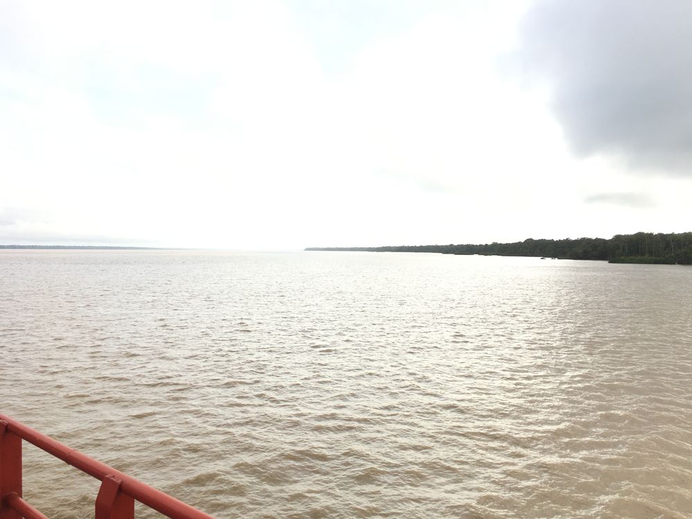 a entrada para a Amazonia - todos os barcos e Navios tem que passar por aqui para ter acesso a Amazonia Brasileira chamamos de porta da Amazonia fica em Frente a Cidade de Gurupa