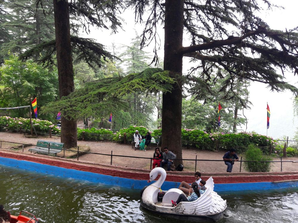 Children with their parents enjoy paddle boating in the artificial lake at park
