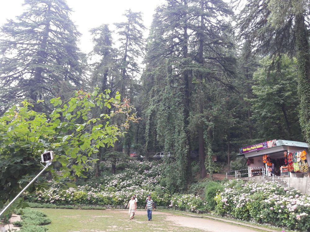 Inside view of park