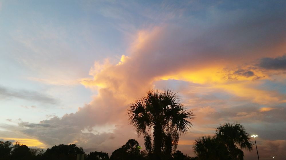 An average sunset on the East Coast of Florida