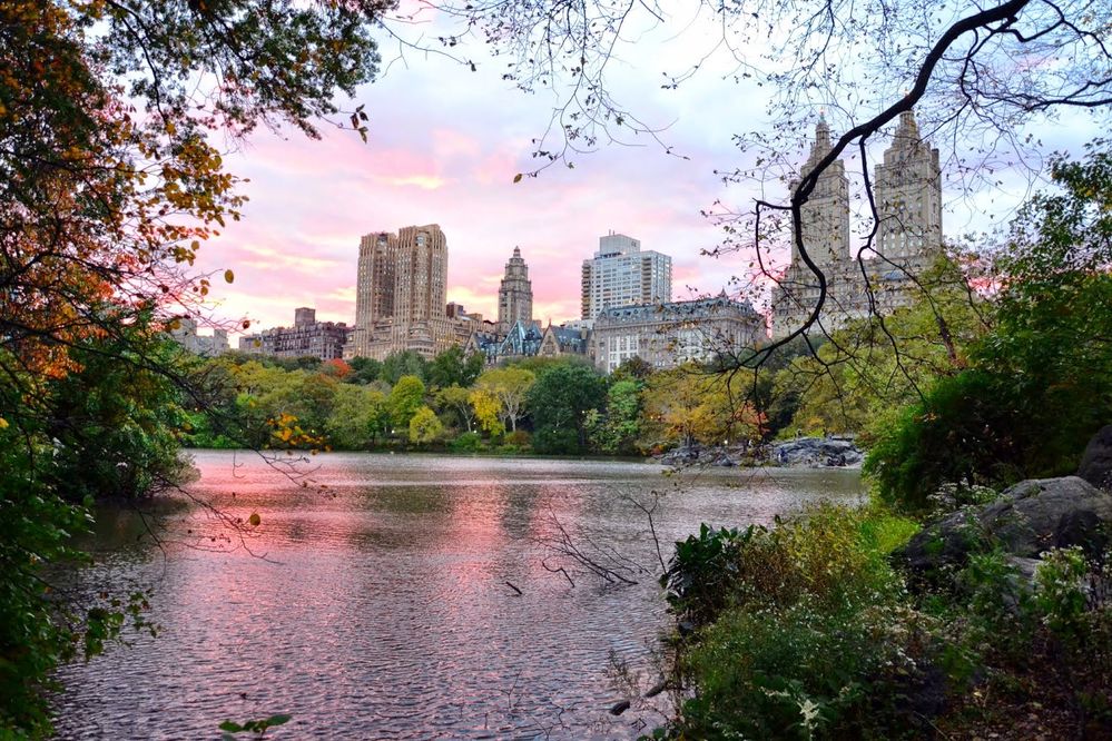 Caption: A photo of Central Park in New York City at sunset, showing the park’s foliage, a pond, and the buildings beyond the park. (Local Guide Benjamin Svobodny)