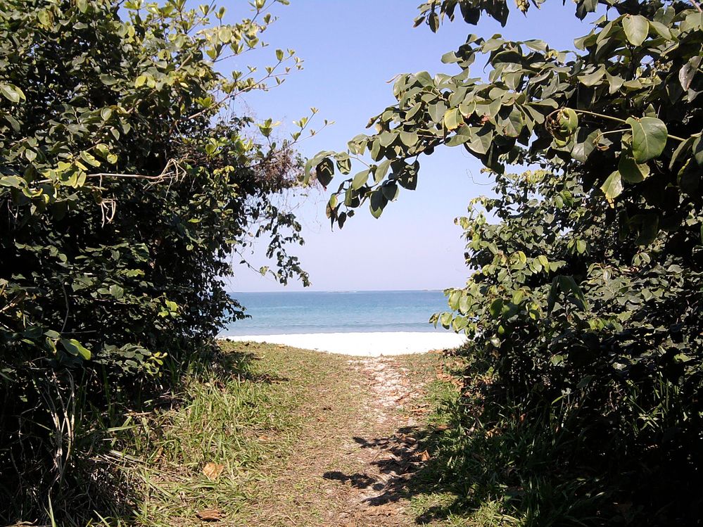 Praia de Mambucaba