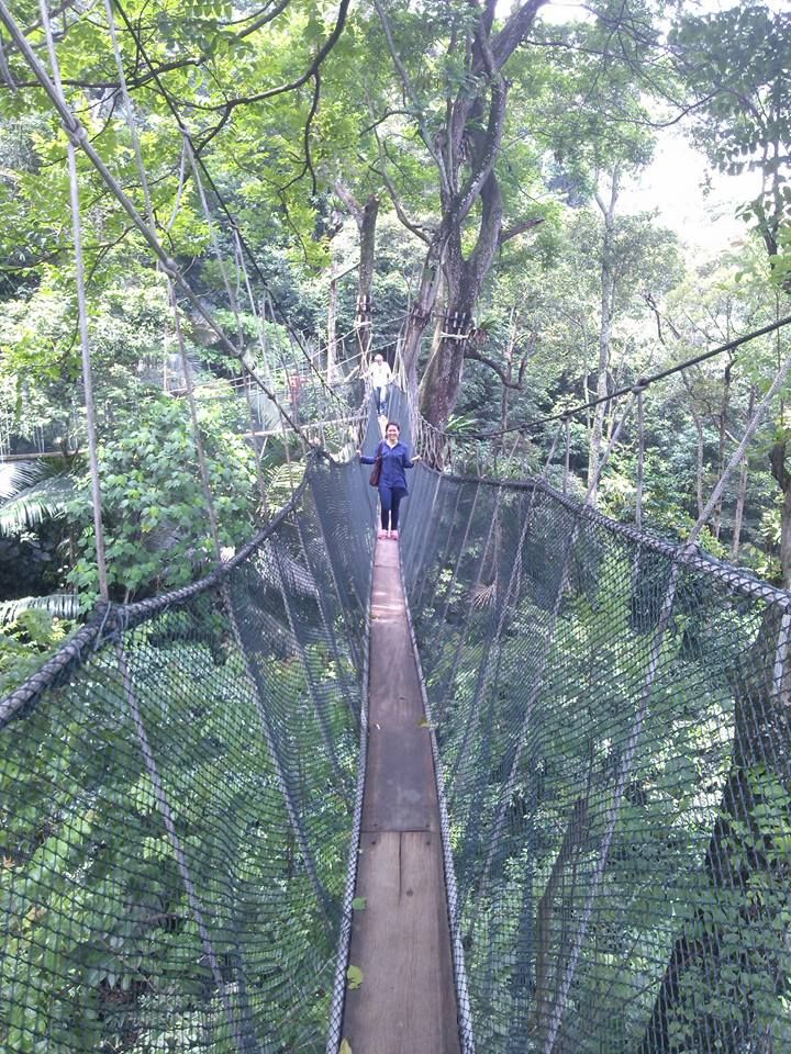 Caption: A photo of a girl standing on a canopy walk among tall green trees in Taman Negara National park, Malaysia. (Local Guide @DeniGu)