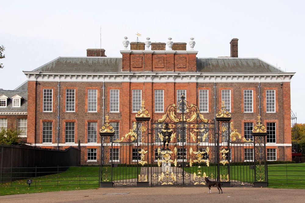 Caption: A photo of the brick exterior of Kensington Palace, showing the green lawn surrounded by a gate with ornate gold detailing with a small black dog in front of it. (Local Guide Mariusz B.)