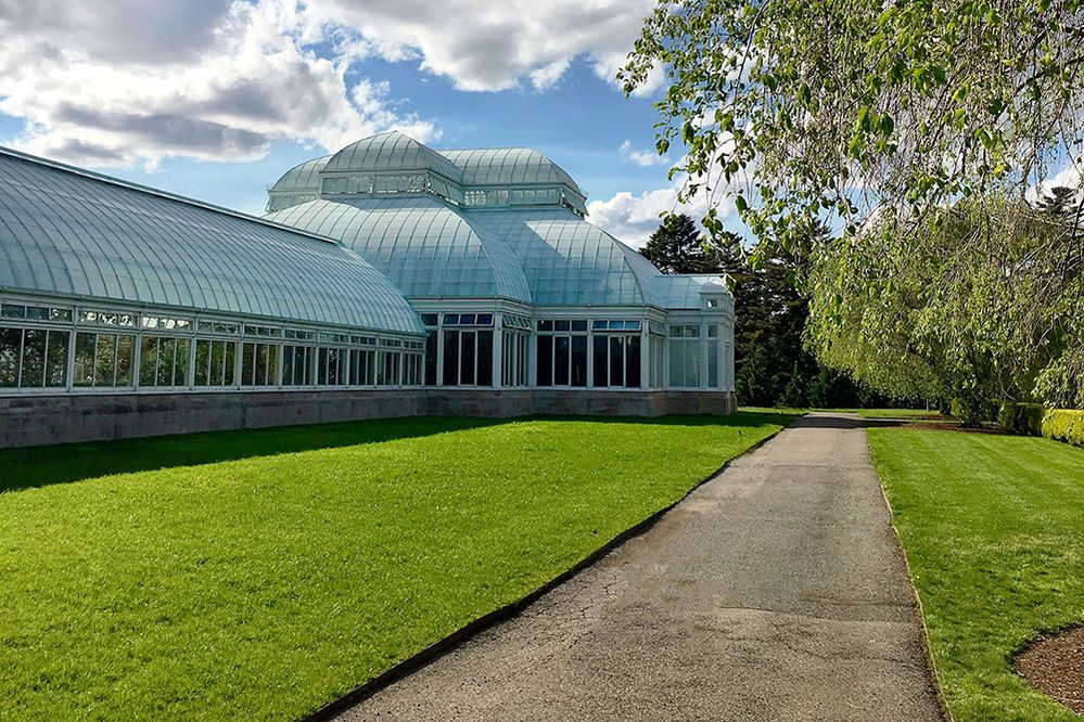 Caption: A photo of the Enid A. Haupt Conservatory, a greenhouse located in the New York Botanical Garden in Bronx, New York.  (Local Guide Christina-NYC)