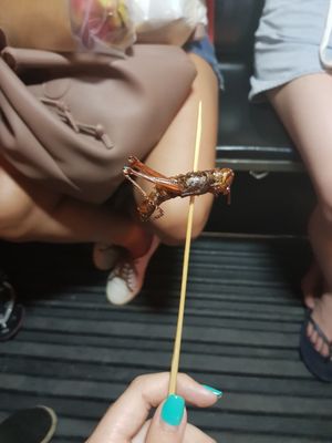 Caption: A hand holding a barbecued cricket on a stick. Photo by Local Guide NadyaPN.