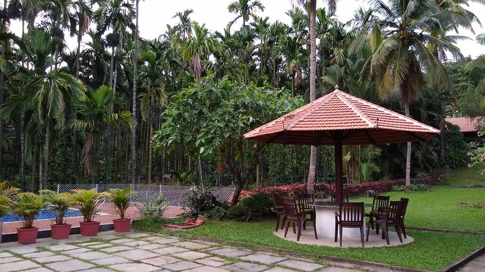 Caption: A photo of outdoor seating under an umbrella near the pool at Kolavara Heritage, a homestay in Karnatak, India. (Local Guide @vvbellur)