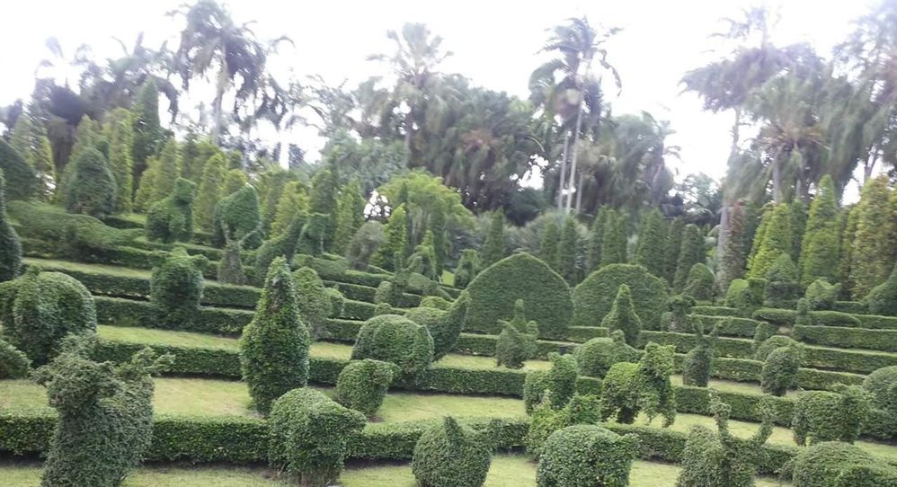 Caption: A photo of Nong Nooch Garden in Thailand (Local Guide @Aruni)