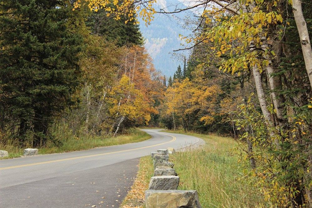 Fall on the Going to the Sun Road (G. Havens, 2014)