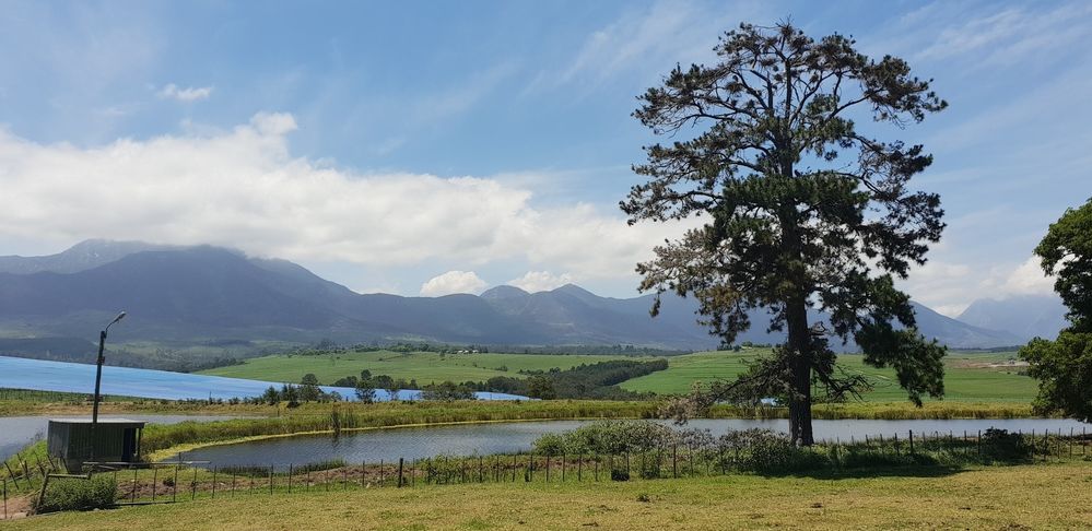 A view from a small holding located in a rural area, outside of George, Western Cape, South Africa. ( Local Guide AlexaAC)