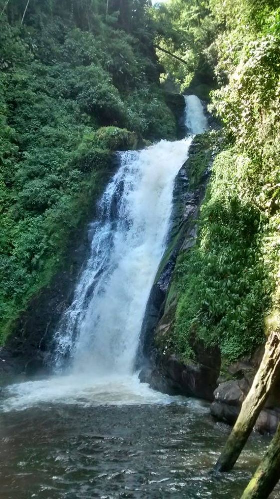 Rota das Cachoeiras Corupá,  Santa Catarina, Brasil