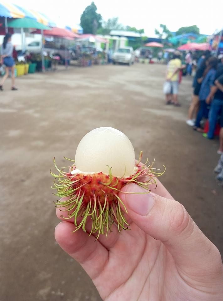 Caption: A photo of a lychee in my hand on a street market background. (Local Guide @TsekoV)