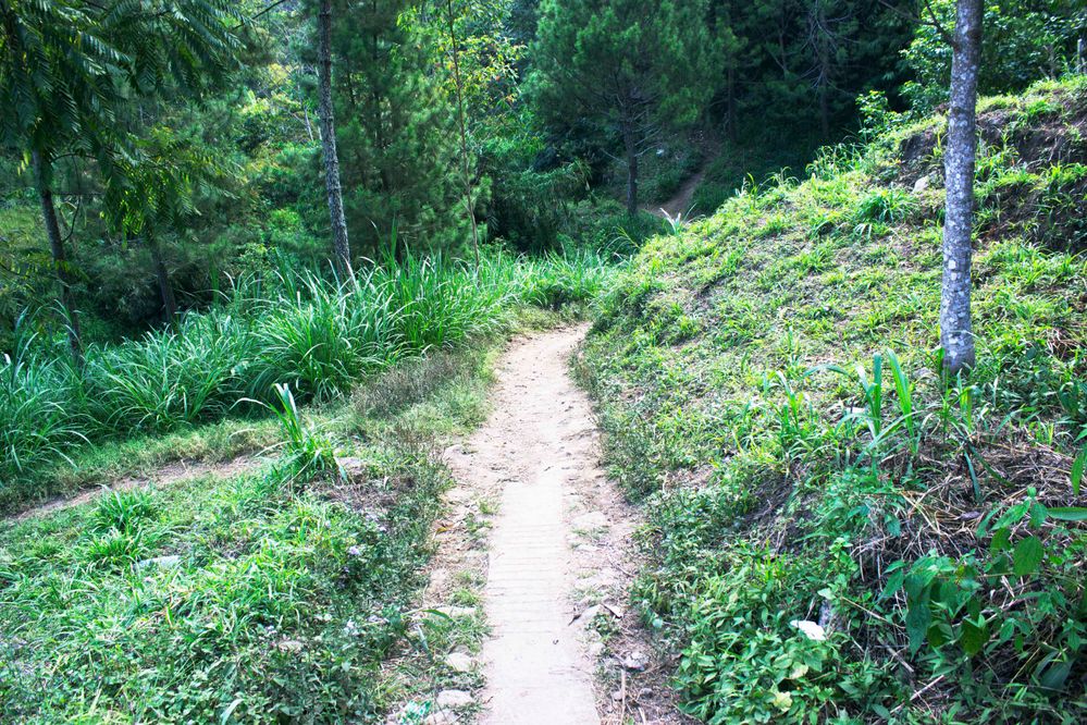 The track to the waterfall